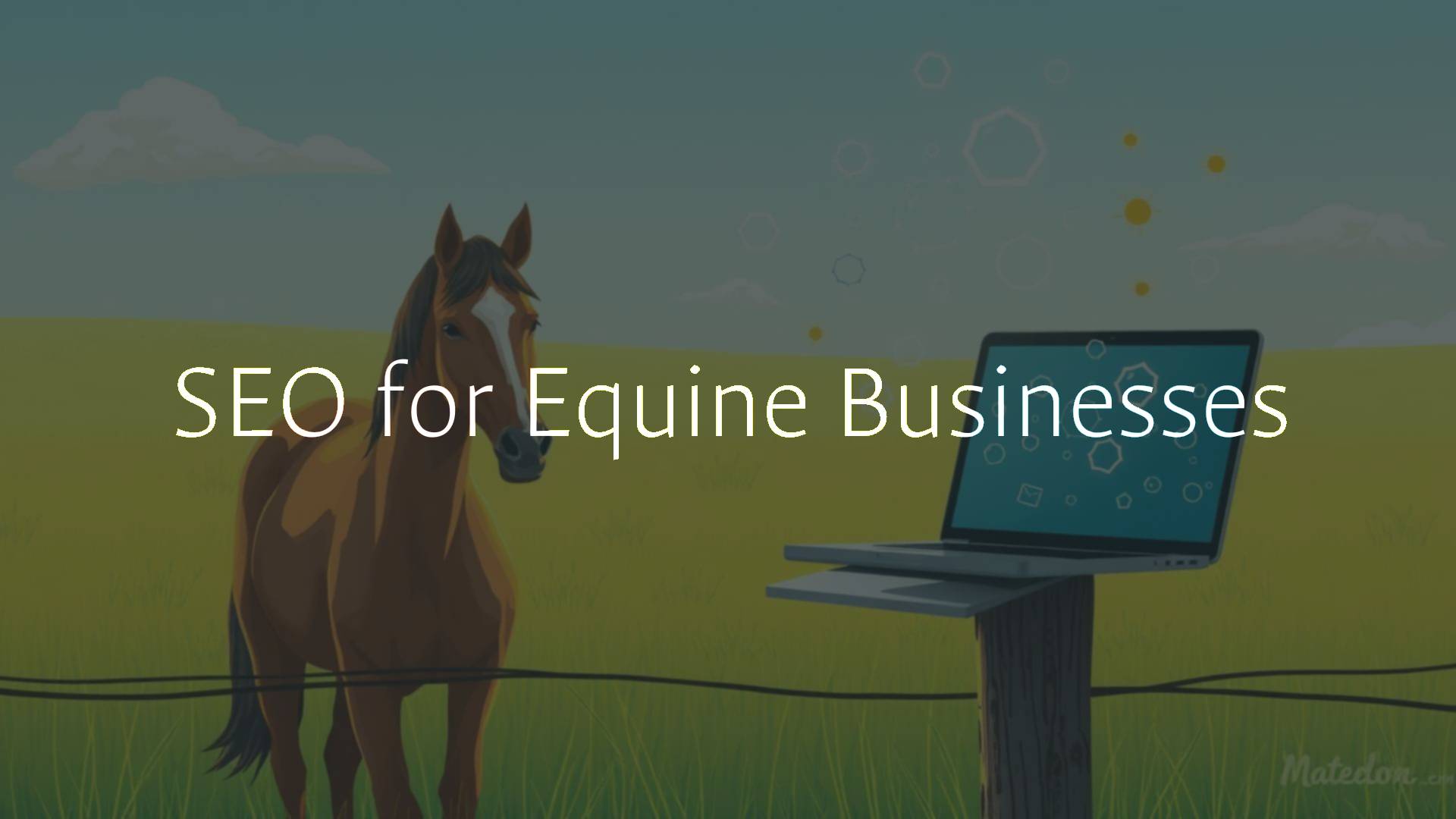 A horse standing in a sunny field with a laptop on a fence post, SEO keywords floating in the air, digital marketing theme, illustrative style.